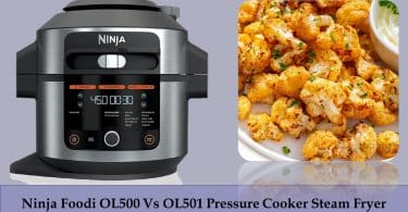 Ninja Foodi OL500 Vs OL501