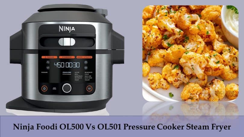 Ninja Foodi OL500 Vs OL501