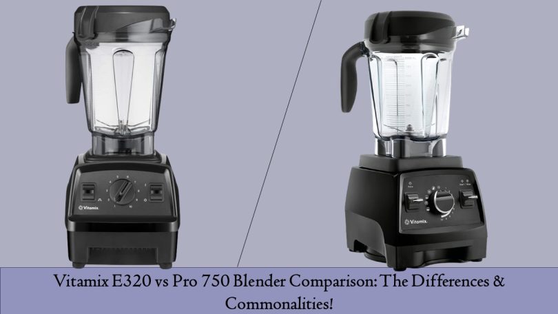 Vitamix E320 vs Pro 750 Blender Comparison