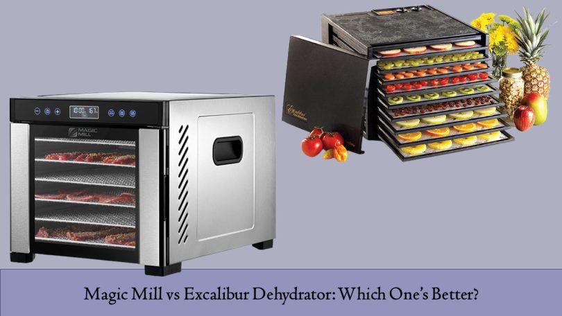 Magic Mill vs Excalibur Dehydrator