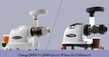 Omega J8004 Vs J8006 Juicer