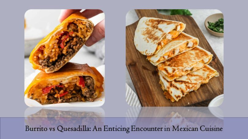 Burrito vs Quesadilla