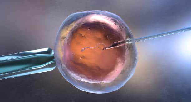 Which Insurance Covers IVF?